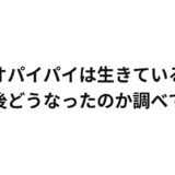 タオパイパイは生きている？その後どうなったのか調べてみた