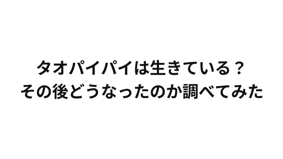 タオパイパイは生きている？その後どうなったのか調べてみた