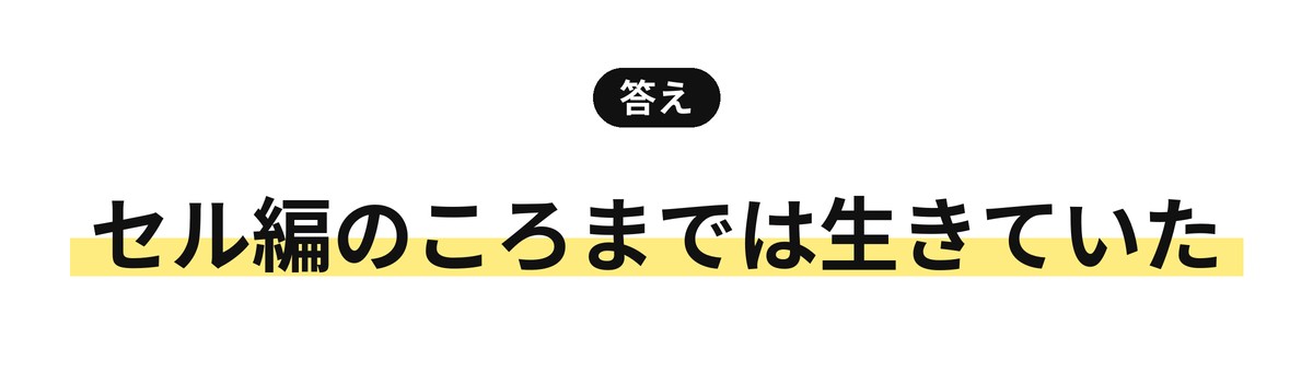 セル編のころまでは生きていた